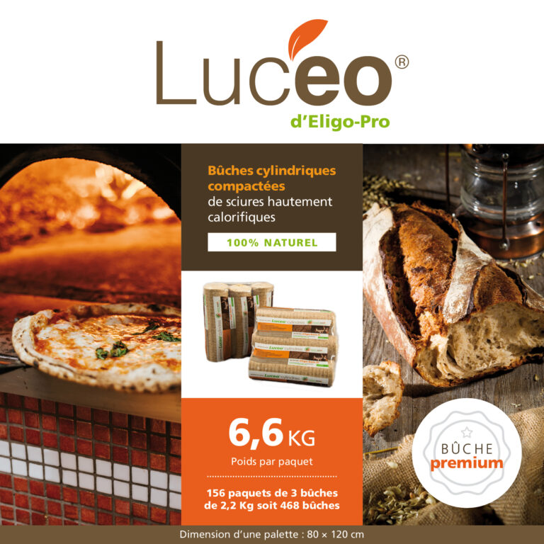 14_Luceo_exe4-1