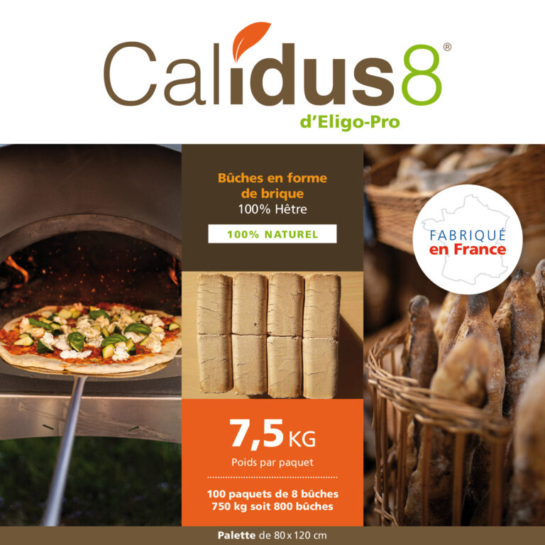 15_Calidus8_exe3